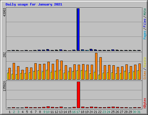 Daily usage for January 2021