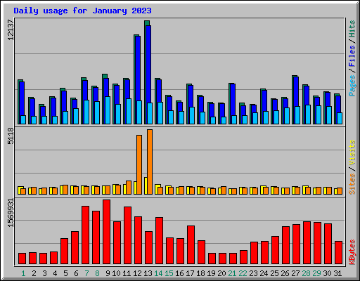 Daily usage for January 2023