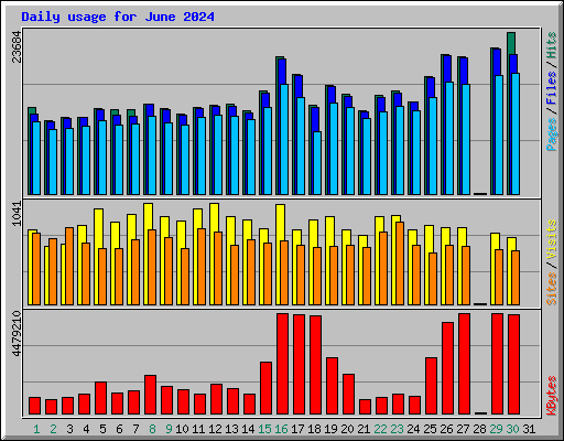 Daily usage for June 2024