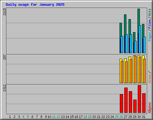 Daily usage for January 2025