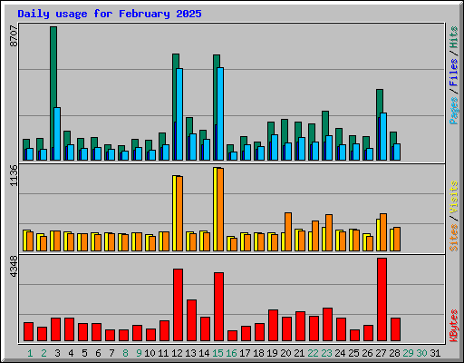 Daily usage for February 2025