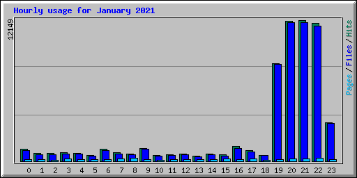 Hourly usage for January 2021