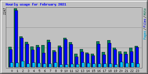 Hourly usage for February 2021