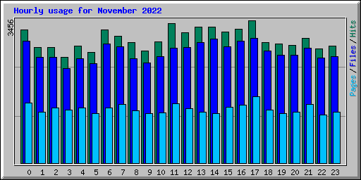 Hourly usage for November 2022