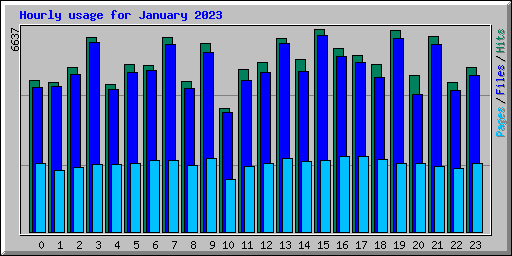 Hourly usage for January 2023