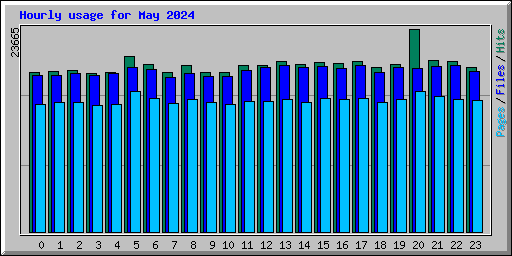 Hourly usage for May 2024