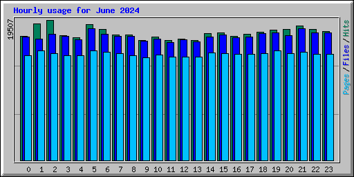 Hourly usage for June 2024
