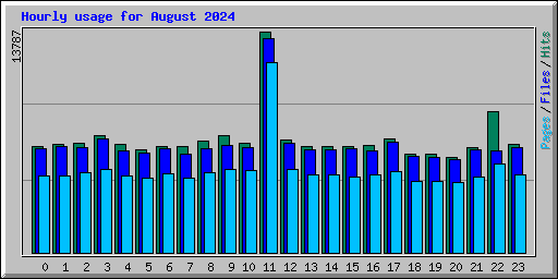 Hourly usage for August 2024