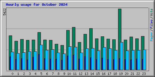 Hourly usage for October 2024