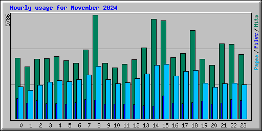 Hourly usage for November 2024