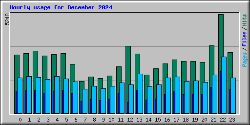 Hourly usage for December 2024