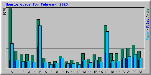 Hourly usage for February 2025