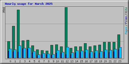 Hourly usage for March 2025