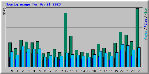 Hourly usage for April 2025