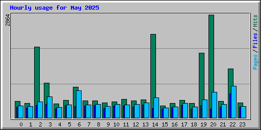 Hourly usage for May 2025