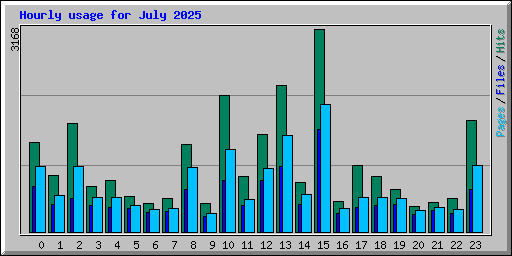 Hourly usage for July 2025