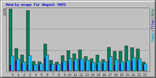 Hourly usage for August 2025