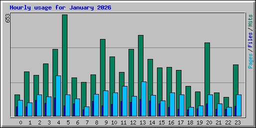 Hourly usage for January 2026