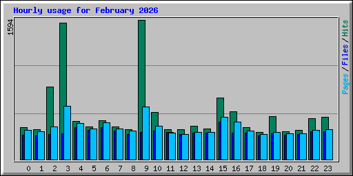 Hourly usage for February 2026